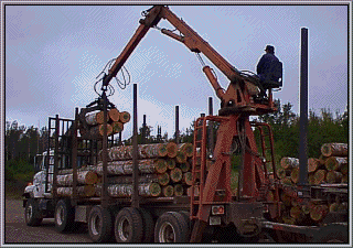 Unloading logs